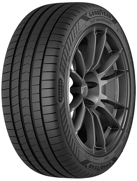 Eagle F1 Asymmetric 6 Bild